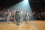 Cavalry - 00354